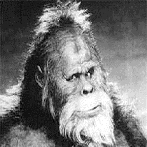 Bigfoot's Hollywood headshot.