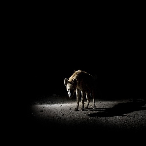 Oh, we'll see who has the last laugh...