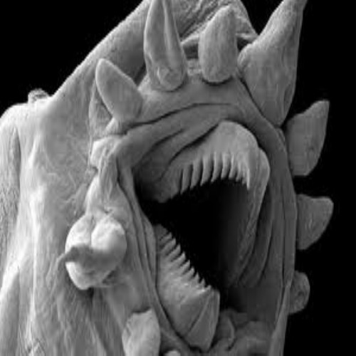 Clearly, the worm has turned.