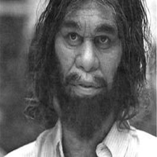 Humans are so 21st Century.