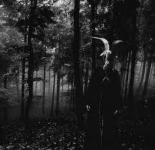 I'll take the blame...