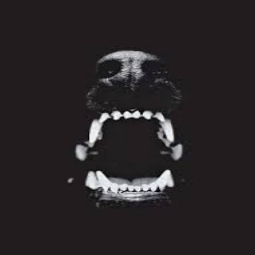 Ignore what the dog tells you.