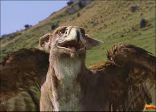 The unfortunate obsessive-compulsive griffin