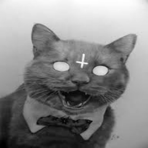 Death rides a pale tabby.