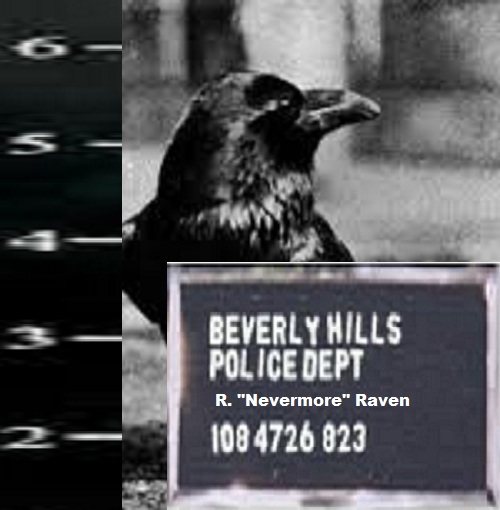 Felon or Freedom Fighter?