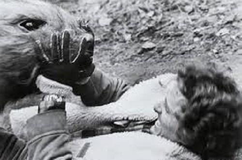 Can't we all just get along?