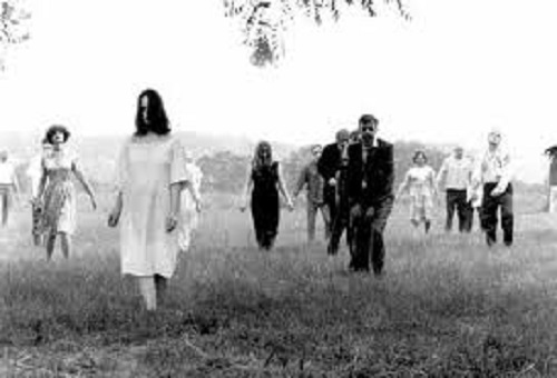 Stop worrying about zombies, start worrying about the grass.