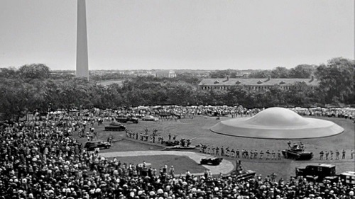 Dude, you just killed like an acre of grass!