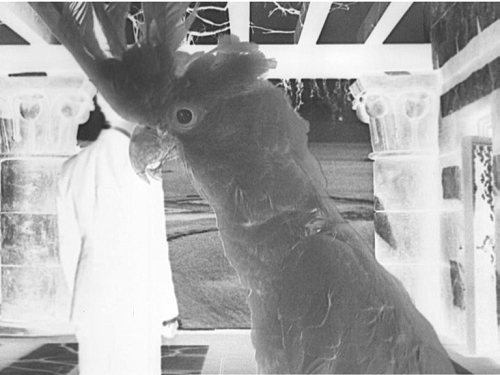 Twitter in the 2nd Century A.D.