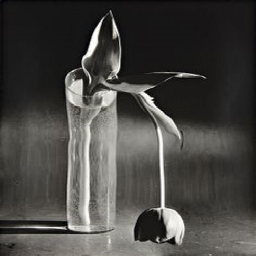 No seriously, you better tiptoe through the tulips.