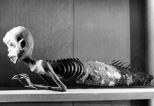 Oh, what an adorable little hoax...