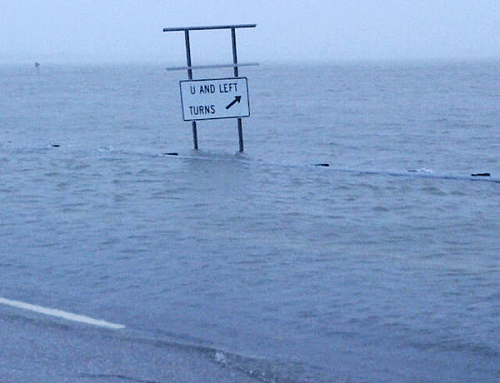 Clearly, there's no going forward.