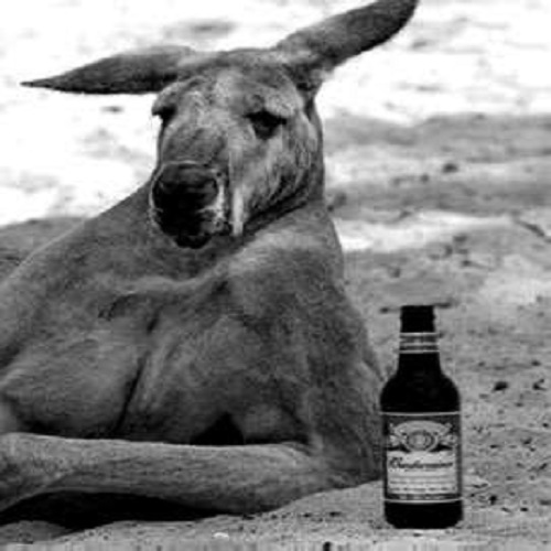 kangaroo_creepy