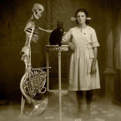 creepy_cat