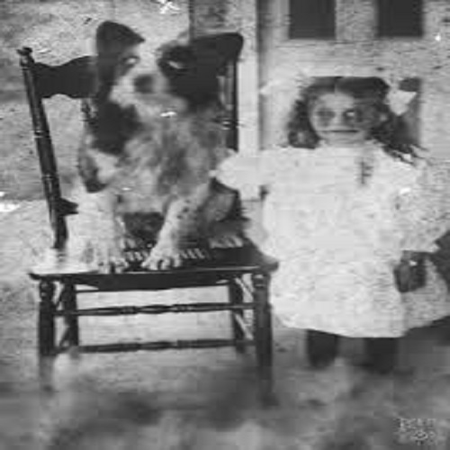 creepyghost_dog